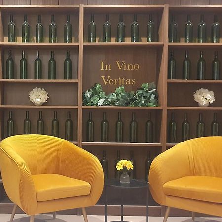 Suite Vinicole Hypercentre, Bastille & Gare 9 Min A Pied 格勒诺布尔 外观 照片