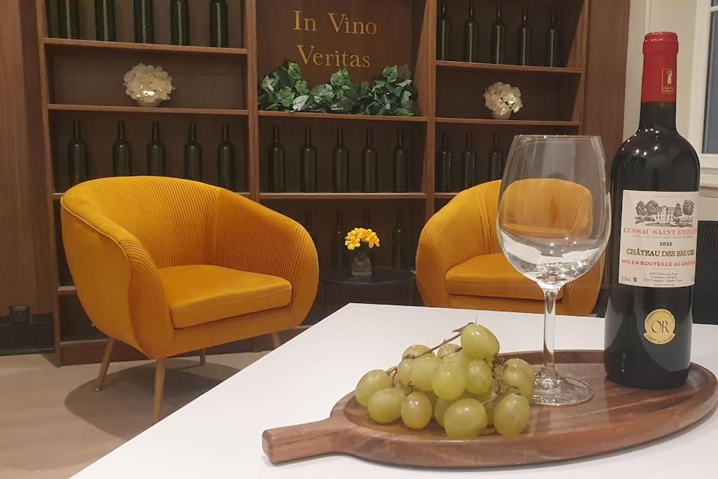 Suite Vinicole Hypercentre, Bastille & Gare 9 Min A Pied 格勒诺布尔 外观 照片
