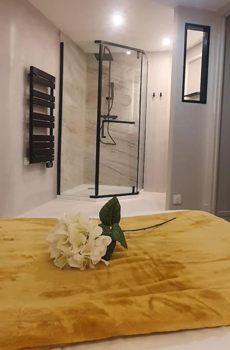 Suite Vinicole Hypercentre, Bastille & Gare 9 Min A Pied 格勒诺布尔 外观 照片